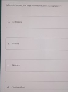 In basidiomycetes, the vegetative reproduction takes place by:... | Filo