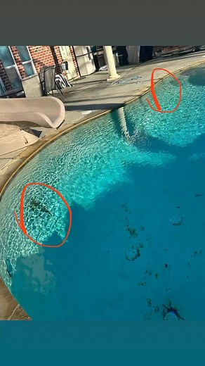 Gunite has Rust from Rebar? Let’s fix it! | Pool Masters