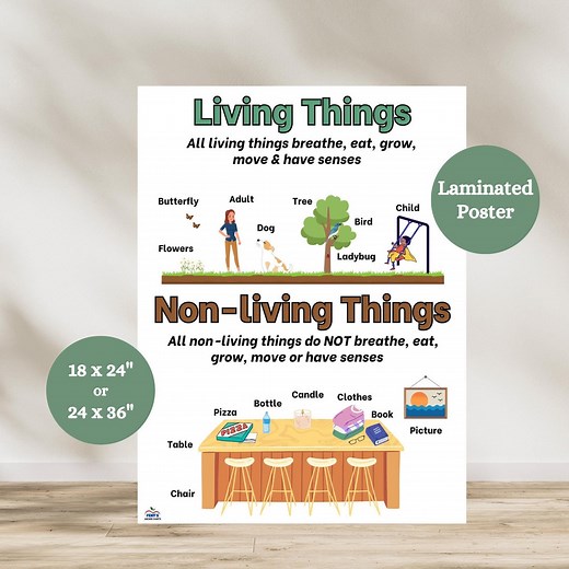Living Vs. Non Living Anchor Chart, Living Things Anchor Chart, Anchor Chart for Life Science, Elementary Science Poster, Science Classroom - Etsy
