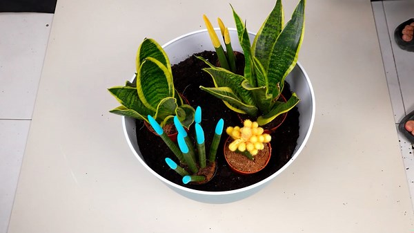 Diving into Vase Artistry: Techniques and Ideas