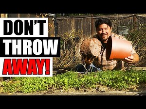 4 Ways To Reuse Old Potting Soil