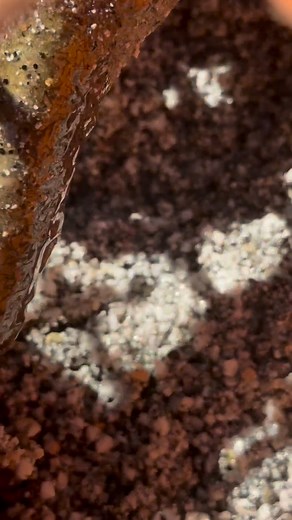 🚨Mixing resin just got a whole lot easier. Meet the Rhinovator—your new favourite tool. 💪Clean Less. Mix More. Order now: www.rhinomixer.com or contact us on: 📞01933 276998 | 📧info@rhinosurfaces.co.uk #Rhinovator #innovation #resinbounddriveway #resindriveway #resinbound #resindrive #resin #resinboundpatio #homeimprovement #landscaping #satisfying #rhinosurfaces #aggregate #aggregates #aggregatesupply #toolsupplies #hire #toolhire #constructionhire #newproduct #asmr #asmrsounds | Rhino Surfa