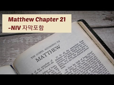 Matthew 21 NIV AUDIO BIBLE (with text)
