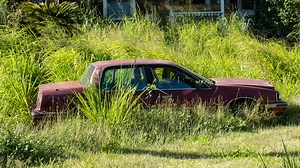 ‘So we can’t park in our own backyard?’ fumes driver after city threatens to tow car – petty rule she’d broken