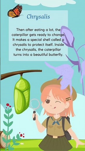 The Magic of Metamorphosis Discover the Butterfly's Incredible Life Cycle!