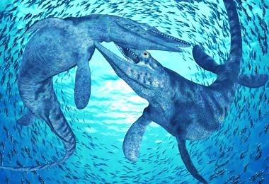 Mosasaurs 101