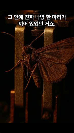 A real word, 'bug', created by a single moth 🐛💻 #BugBeginning #ComputerHistory #HarvardMark2 #Deb...