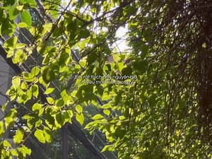 em rat thich anhhhh | 𝙏𝙧𝙪𝙨𝙩?