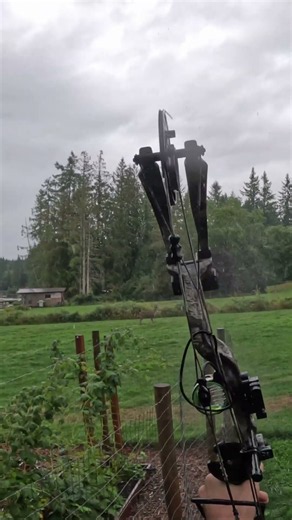 Blacktail down archery! Washington state hunting