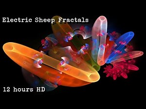 Electric Sheep Fractals 12 hours HD ambient animation