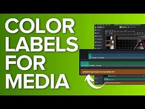 Color Labels in Camtasia: The Game-Changing Organization Hack