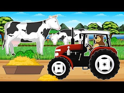 A Day of Dairy Farming with Two Bears Unfolds Like This| Bear Farm Life