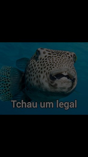 Desafio de Biologia: Identifique o Peixe Baiacu! 🐡🔎