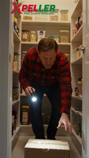 You May Have Mice In Your Home If You Hear This At Night| XPeller Pest Solutions