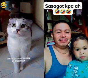 240K views · 6.5K reactions | Sasagot kapa ah idol藍藍藍 #funny #goodvibes #funnyreels #trendingvideo #noncopyrightbackgroundmusic #ForEntertainmentPurposesOnly #followers #everyone #highlights | Tenorio JM | Facebook
