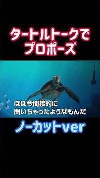 [Touching] I proposed using Turtle Talk