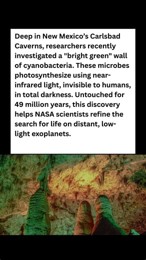 49 Million Years in the Dark! 🧪 The Cave Discovery Changing Space Travel! #wildlife #facts #shorts