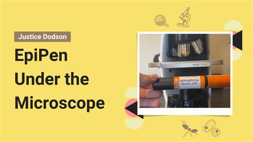 Epinephrine Up Close – What Happens Inside Your Body