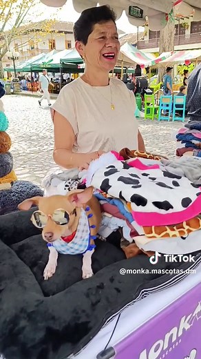 Que el 2026 nos encuentre más humanos, más conscientes, apoyando lo local y consintiendo a quienes nos aman sin pedir nada: nuestras mascotas 🐕🐈 Gracias por ser parte de esta familia. #perrostiktokers #HechoConAmor #modaperruna #jardinantioquiacolombia #creatorsearchinsights