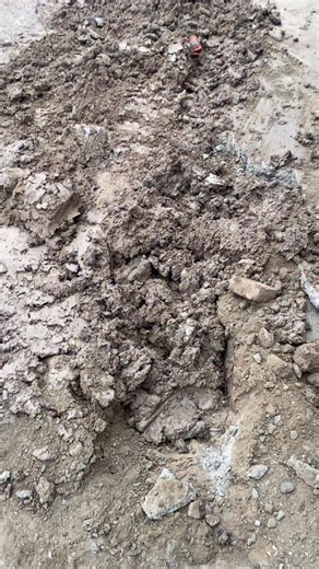 Sanjar on Instagram: "Tarqatipparingla"