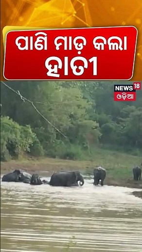 ଅସହ୍ୟ ଗୁଳୁଗୁଳି! Bhubaneswar Heatwave Today | Bhubaneswar Humidity Weather | Odia News Today