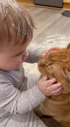 no more meow meow 😠 #catsoftiktok #catsoftiktok #aianimals #foryoupage #doglove