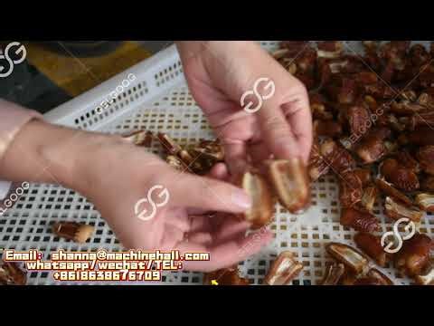 Fully Automatic Date Pitting Machine | GELGOOG