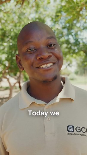 From classroom to career. 🎓 Our partnership with the @theglobalconservationcorps Future Rangers Program is a vital piece of the puzzle, and one we’re incredibly proud of. 🌿 The Future Rangers Program begins in primary school, inspiring a love for nature through lessons, mentorship, and time spent in the wild. By the time students reach Grade 12, they’ve identified conservation-aligned interests and skills. 🦏 This is where the BHS Foundation lends a hand, supporting the next step through our b
