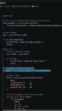 Build Face Detection System
