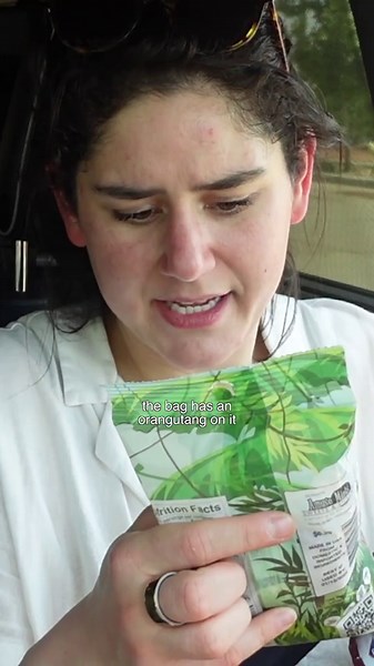 Becoming a Gecko Tour Guide with My Extra GEICO Time