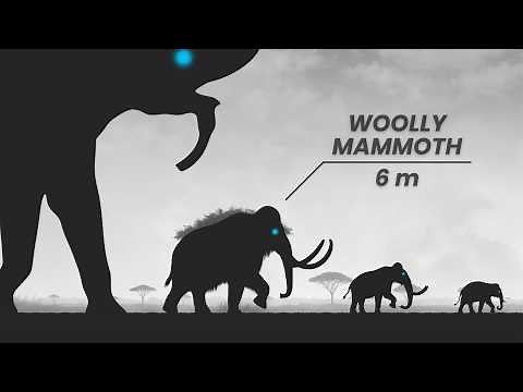 Elephants & Mammoths Size Comparison | Living and Extinct