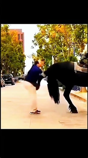 Spotlight Groover Emote FF Funny😅😎 #freefire #funny #viralshorts