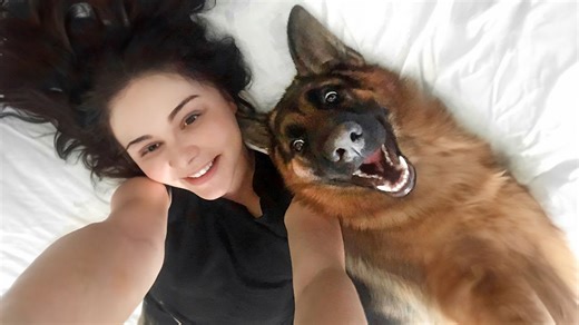 The sweet things left unsaid between dogs and owners