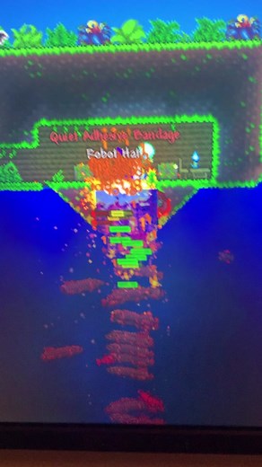 Terraria AFK Money Farming Guide