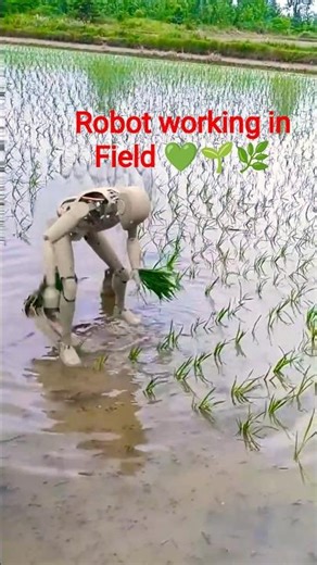 Amazing Agriculture Robot Working in Farm. #shorts