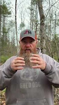 Whitetail deer poop myth dispelled #shortvideo