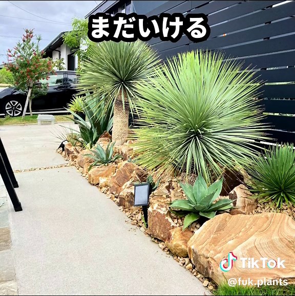 ドライガーデンの歴史と作り方