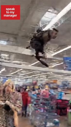 health code violation. #karen #walmartkaren #monkey #fyp #foryoupage | speak to my manager