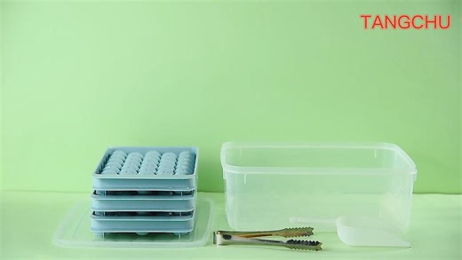 Watch Round Ice cube Tray with Instructions on Amazon Live