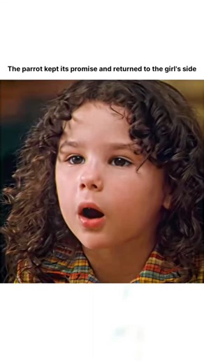 laugh every second on Instagram: "@google_clips 🎬 Movie:Paulie (1998) ✨ Keywords Talking parrot, family adventure, heartwarming reunion, talking bird movie, animal friendship, Paulie movie recap, emotional pet story. 👁️ Video Description Paulie isn't your average parrot—he’s a bird with the gift of gab and a heart of gold. After being separated from his first owner, a young girl named Marie, Paulie embarks on an epic, decades-long journey across the country to find his way back to her. This cl