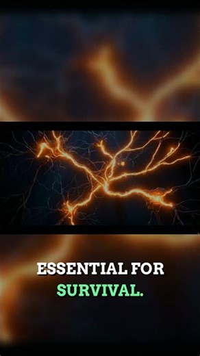 The Helper's High: Brain Science of Giving