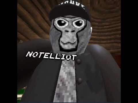 join the STREAM MONKEYS