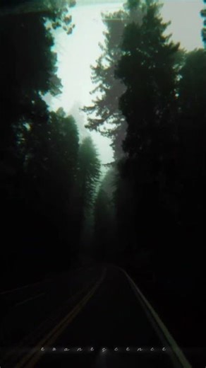 Evanescence - full song on my channel #ambientmusic #aesthetic #darkambient