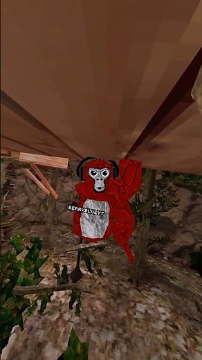 Stick to the script #gorillatag #vr #funny