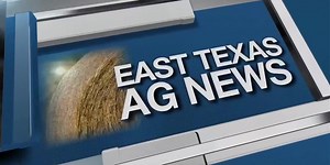 East Texas Ag News: This week’s hay prices remain firm