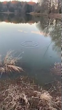 Firework Fishing. Firecracker. M1000. 2022.