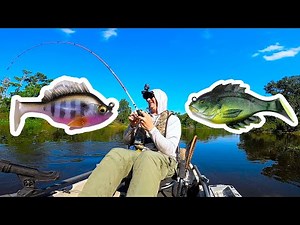 Fishing With ONLY the Megabass SLEEPER GILL and the 10,000 Fish HEAD HUNTER