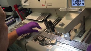 Processing tissue specimens for microscopic examination