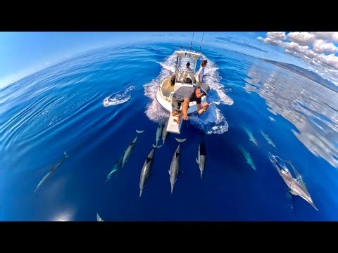Hawaii Bottom Fishing! Catch, Clean, and Cook! INSANE Dolphin Encounter! Fish Fry & Ocean Clean Up!