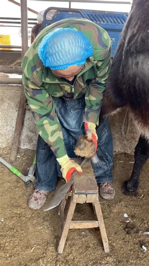 122K views · 1.3K reactions | Deformed donkey hoof, cut off with force丨ASMR丨Donkey hoof cutting sound #animal #horse #cow #donkey #hoofcare #satisfying #hoof #care #helping | Hoof Care | Facebook